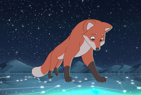 Fox Fires 