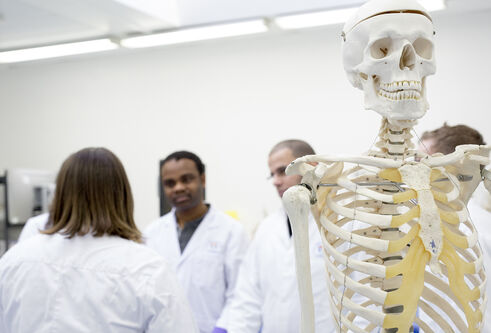 some students and a skeleton