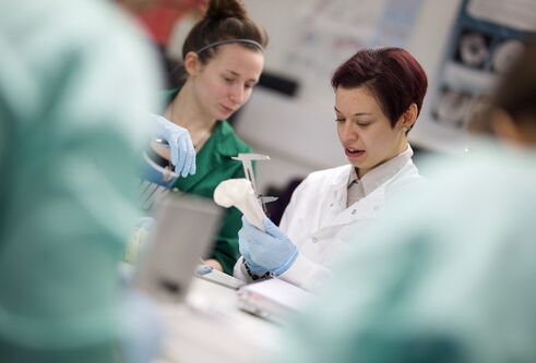 Students working in lab