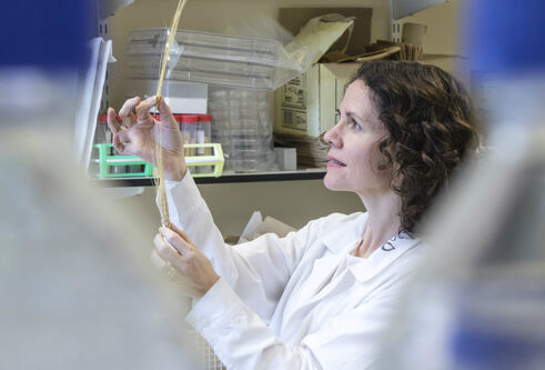 Dr Sarah McKim looking at a wheat sample