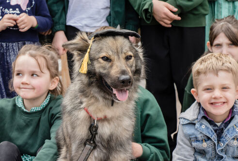 Dog wearing a graduation cap sat with school children 