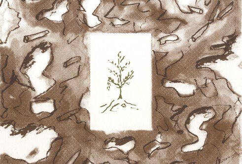 Image of tree