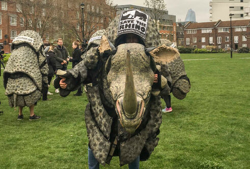 students dressed as rhinos