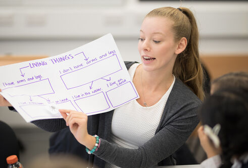 A teacher showing students a flowchart about identifying creatures