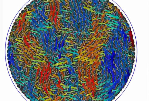microscopic dish