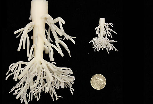 3D printed root