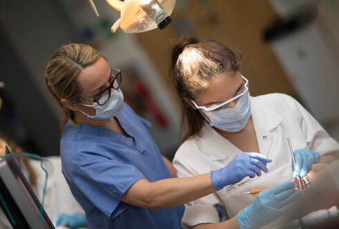 Dentistry students at work