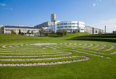 white building behind green grass