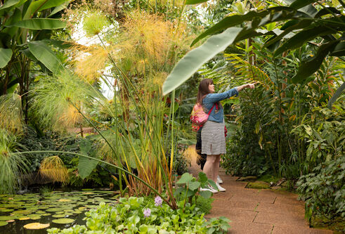 a woman standing pointing at something surrounded by green plants