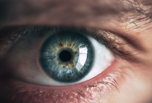 eye image