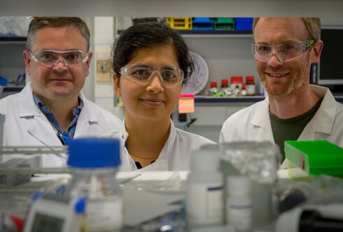 Members of the In4Derm team. image (c) John Post