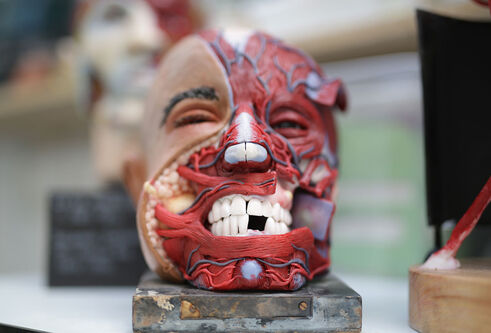 Recreated head showing layers under the skin