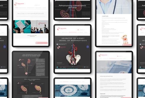 website preview