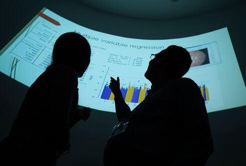 two people in shadow pointing at a large projected computer screen with a graph on it
