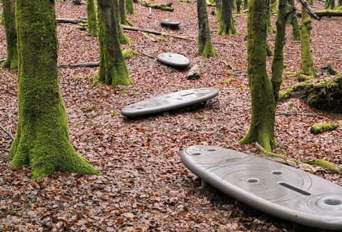 park benches in a forest