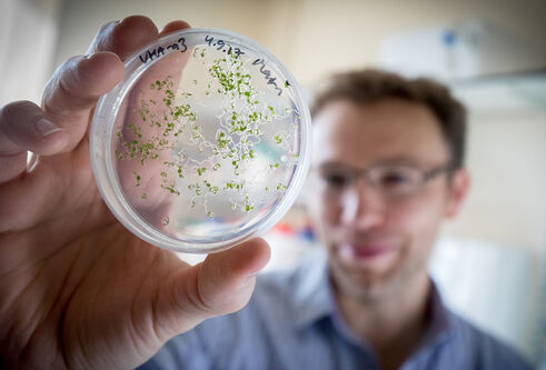 a blurred figure holding a petri dish containing cells