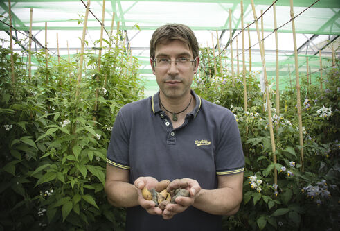 Ingo Hein standing in large greenhouse surrounded by plants, holding root vegetables