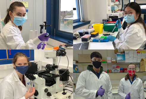 four separate images in a collage showing students working in labs