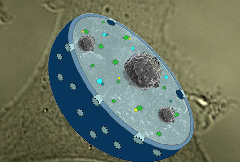 cell in shades of blue and grey