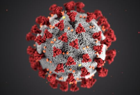 red and grey close up of covid 19 virus, sphere with spikes on it