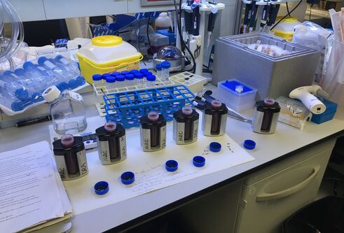 lab bench with samples on it