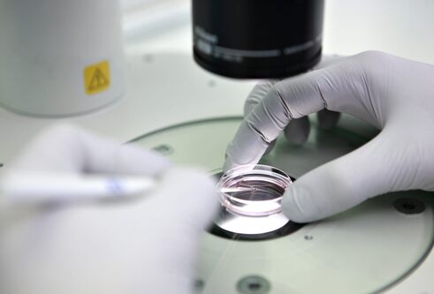 gloved hands holding specimen in circular glass container