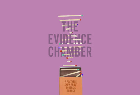 Title image for The Evidence Chamber