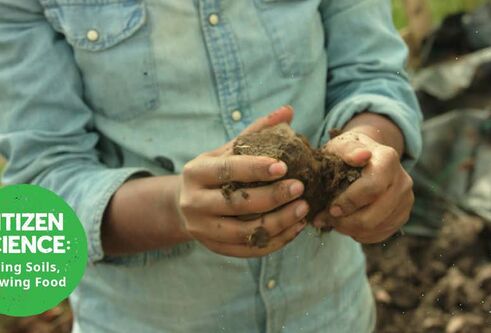 Citizen Science - Living Soils, Growing Food