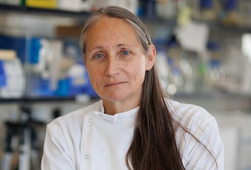 Image of Prof Kate Storey in her lab