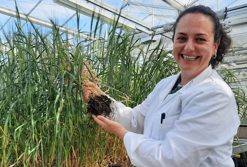 female scientist holding barley