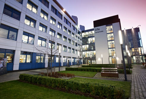 View of the Life Sciences Discovery Building at dusk with the lights illuminating the grounds
