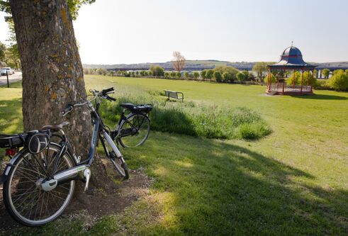 A bike leaning against a tree overlooking the bandstand at Magdalen Green