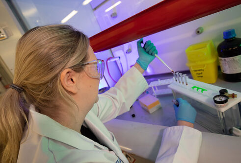 A female scientist wearing a lab coat, safety glasses and gloves pipetting blood samples into a series of test tubes inside of a ventilated fume closet.