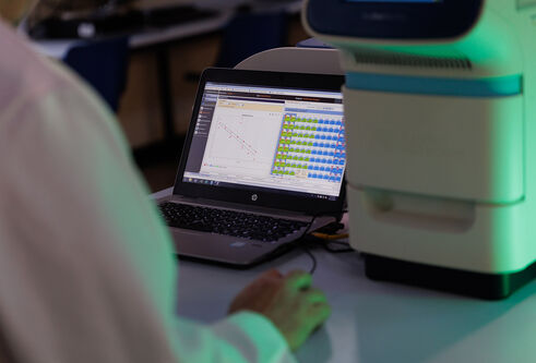 Over the shoulder shot of a scientist examining a laptop running the StepOne PCR Software used to analyse DNA.