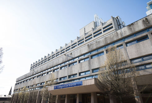 MSI concrete building