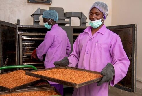 Two kitchen staff taking trays of food out of an oven. 