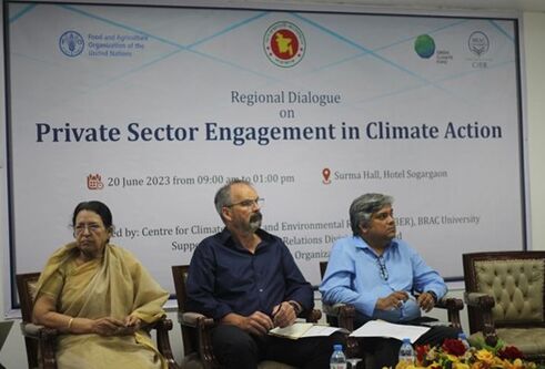 Three people sitting in a panel, a screen behind them reads: Regional dialogue on private sector engagement in climate action.