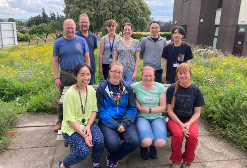Paul Birch and his team sitting outside a building at a bench surrounded by wildflowers
