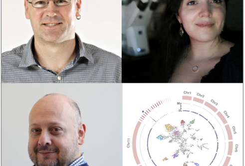 Clockwise from top left - David Horn, Joana Faria, Michele Tinti