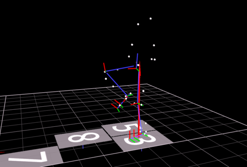 Hadeel Alsirhani research data shows a graphic of a vicon motion analysis visual output 