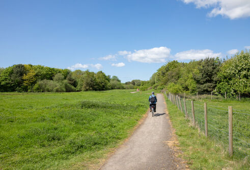 cyclist going through nature reserve