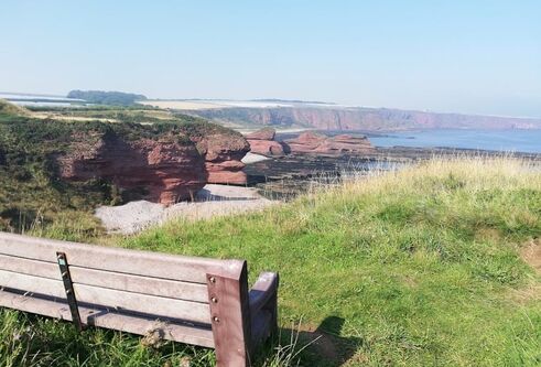 view over arbroath cliffs