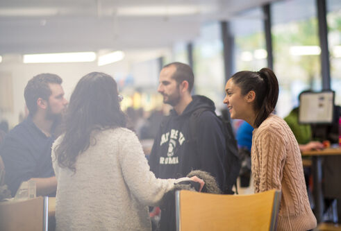 Students studying in the main library