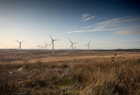 Wind farm in a field