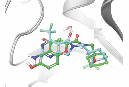 A scientific model of Cryptosporidium
