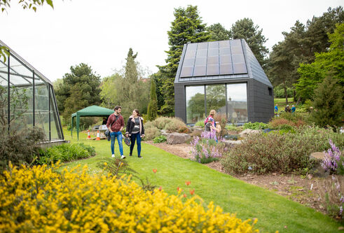 garden with a greenhouse and a path in the centre