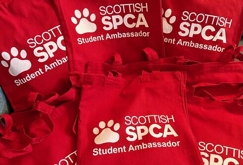 A row of red Scottish SPCA tote bags