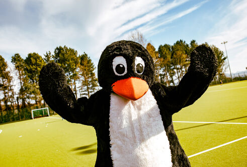 A person in a penguin suit stands on a playing field with their arms in the air.