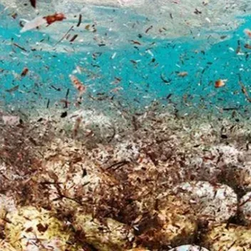 arctic plastic floating microplastics