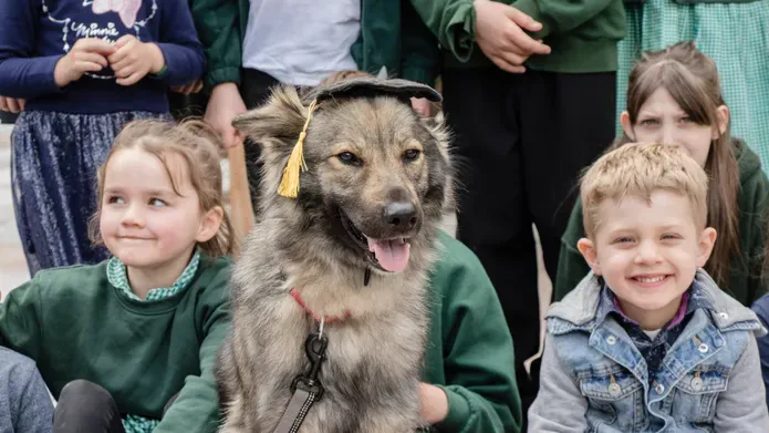 Dog wearing a graduation cap sat with school children